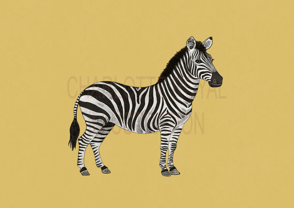 Zebra In Yellow