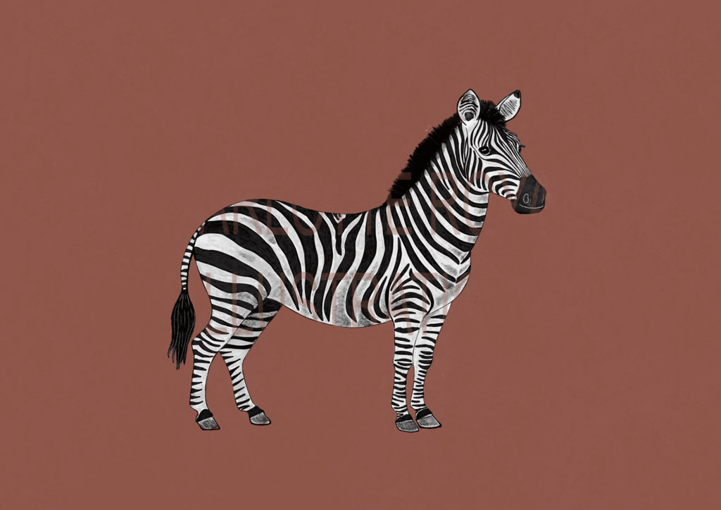 Zebra In Terracotta