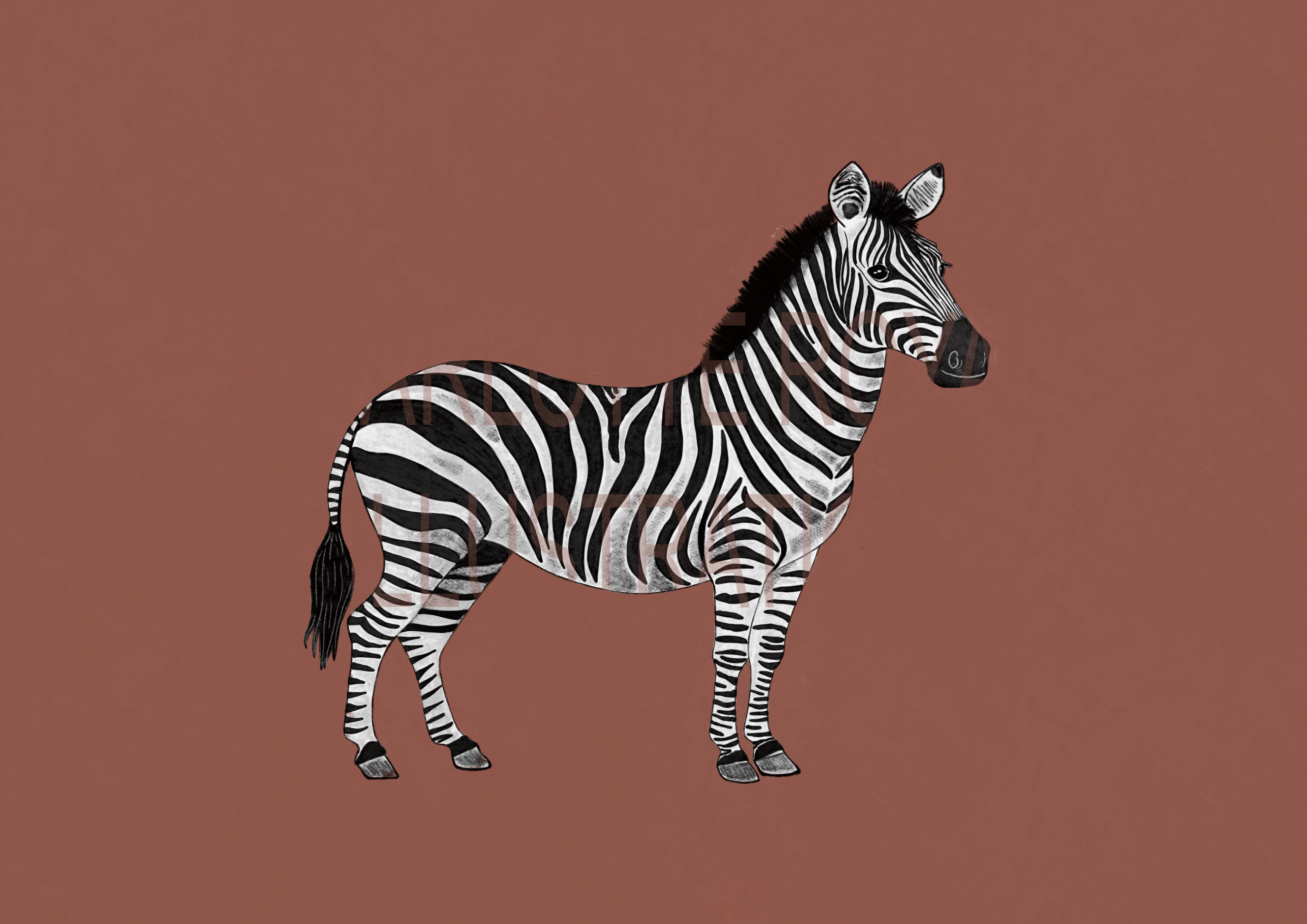 Zebra In Terracotta