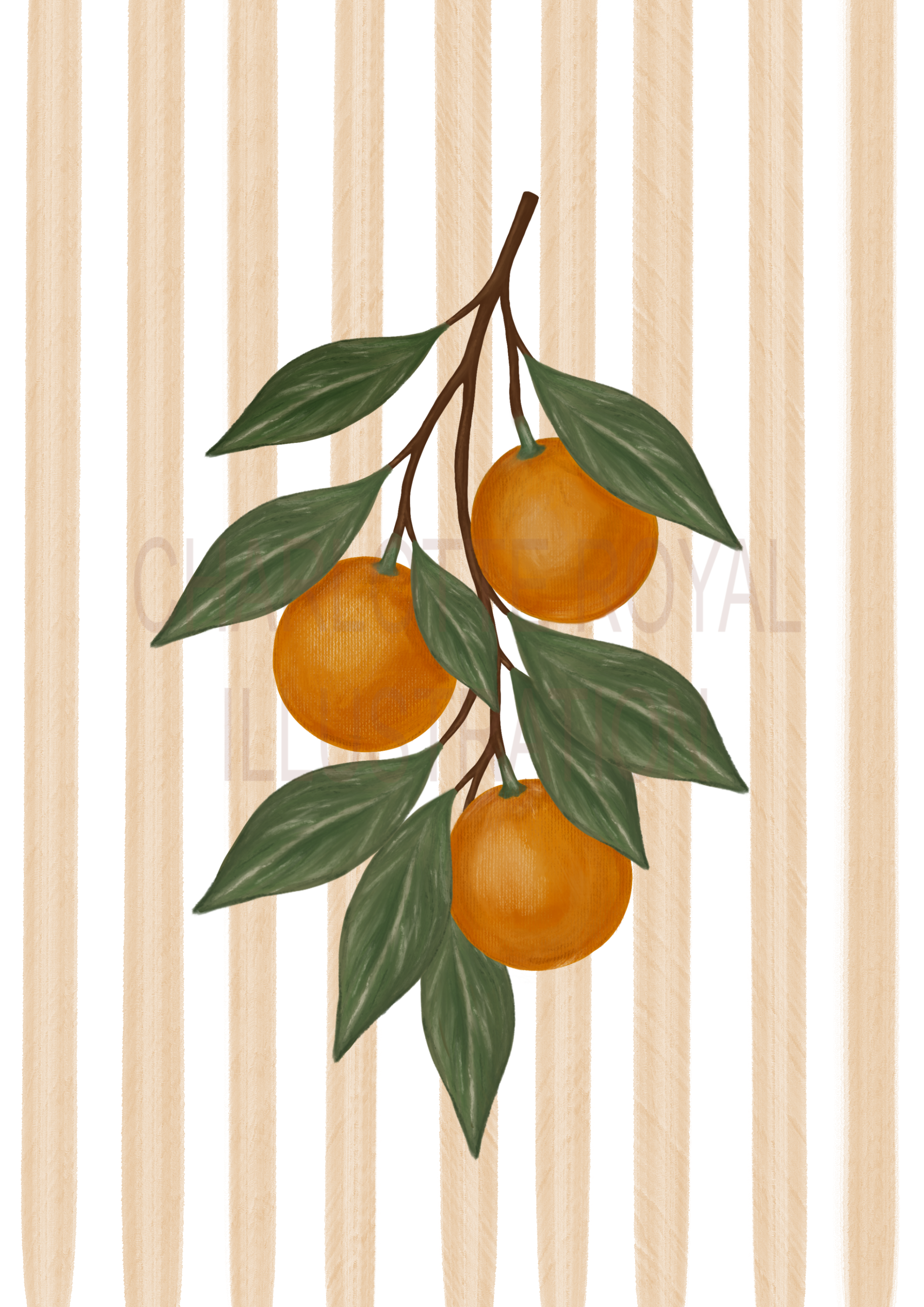 Oranges