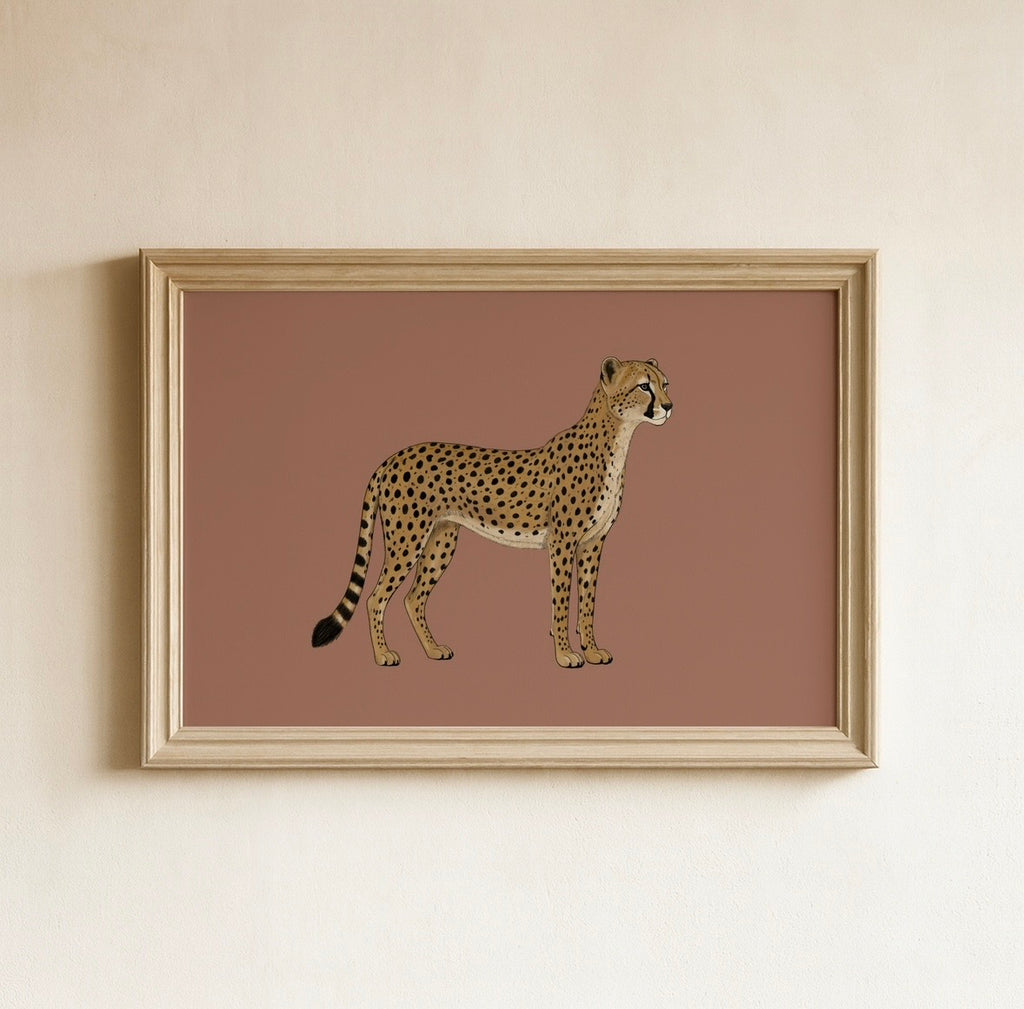 Cheetah