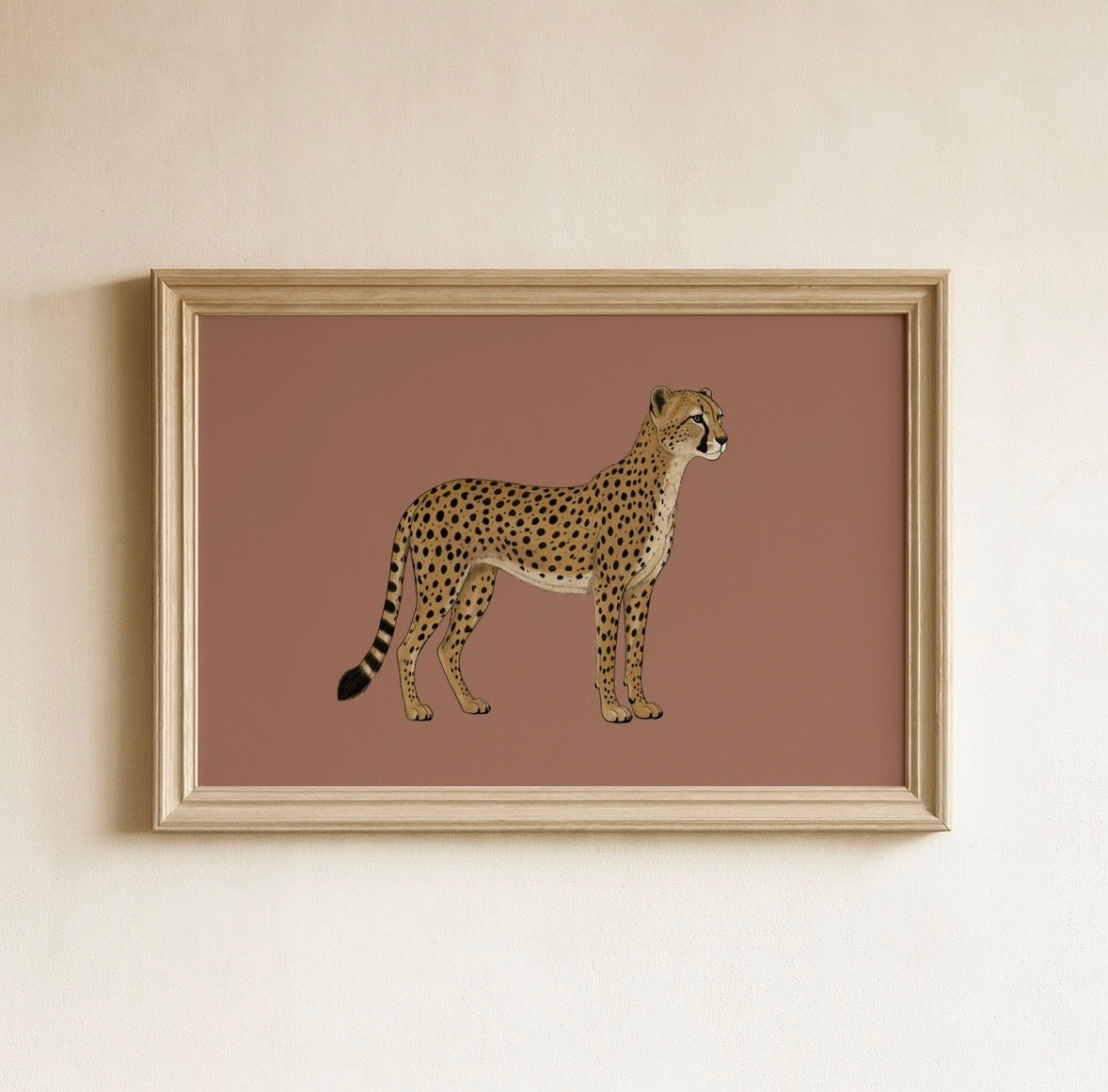 Cheetah